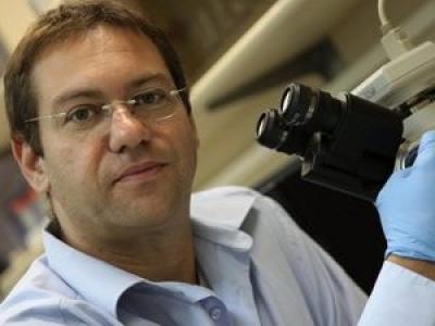 Amit Gefen, Tel Aviv University