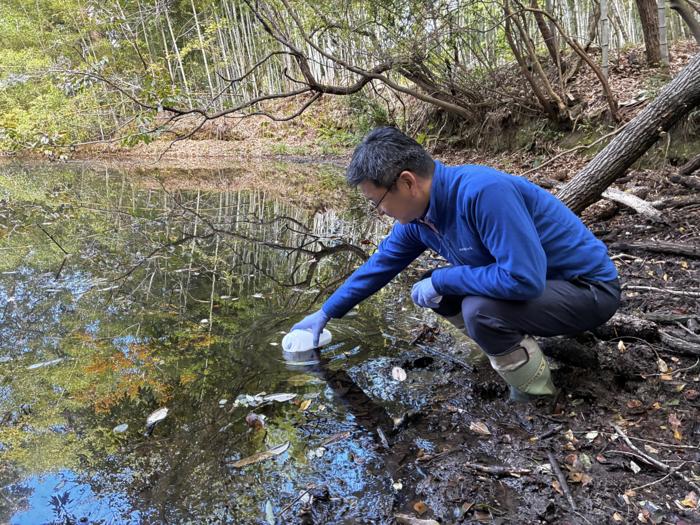 Minamoto collects water from a pond for use in environmental DNA surveys
