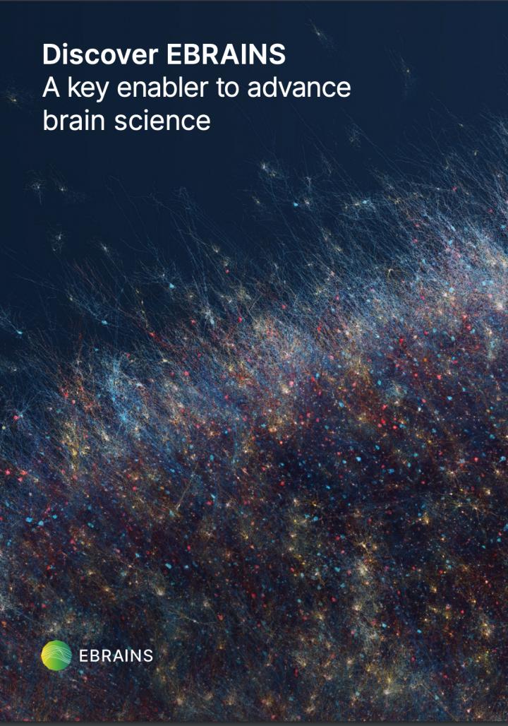 Discover EBRAINS