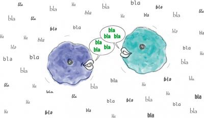 Cellular Eavesdropping
