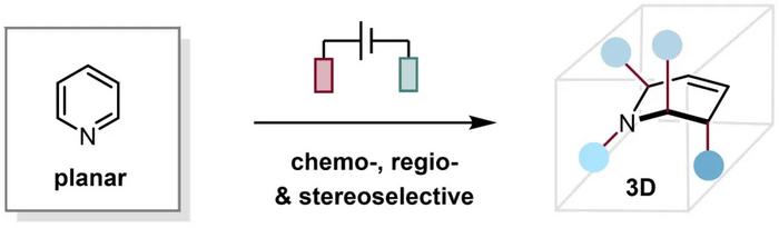 Chemistry, regioselective and stereoselective electrochemical dearomatization-multifunctionalization reactions of pyridine