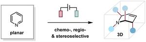 Chemistry, regioselective and stereoselective electrochemical dearomatization-multifunctionalization reactions of pyridine