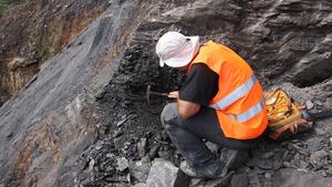 First Mesozoic amber deposit with preserved insects discovered in South America