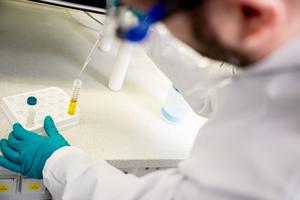 Torben Struve in the lab. Credit: University of Oldenburg