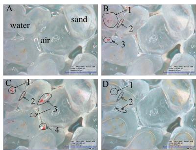 Colloid Pollution, with Titles