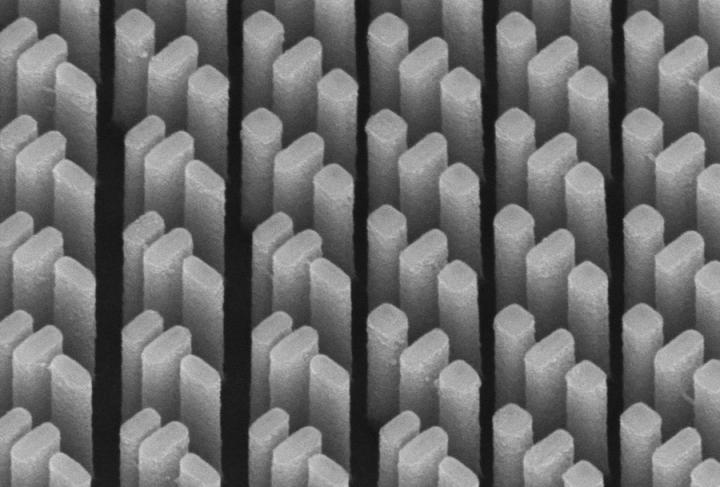 An SEM Image of the Metacorrector