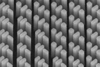 An SEM Image of the Metacorrector