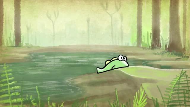Leap In Visual Range Preceded The Leap To Land