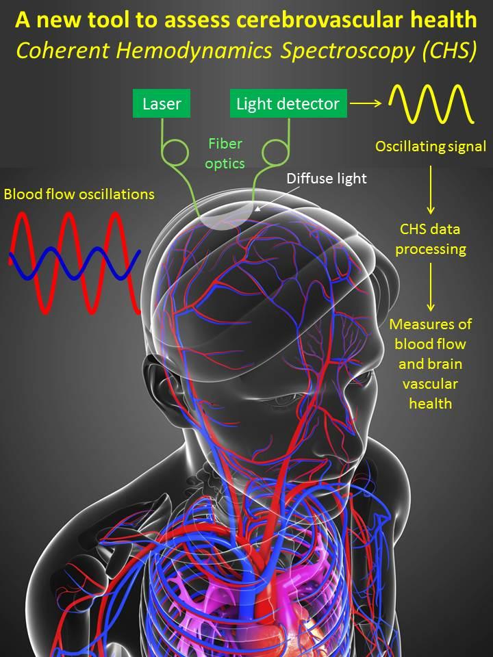 New Tool to Assess Cerebrovascular Health