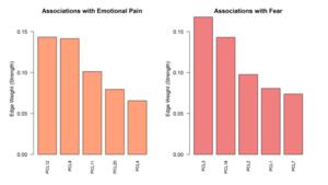 Dissecting Fear and Emotional Pain in PTSD: From Symptom Networks to Neural Signatures