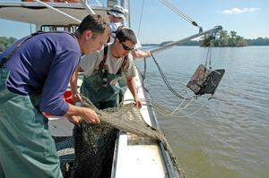 Eric Johnson and Rob Aguilar Trawl Survey
