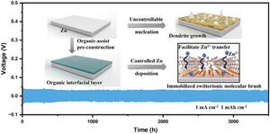 Immobilizing Zwitterionic Molecular Brush in Functional Organic Interfacial Layers for Ultra-Stable Zn-Ion Batteries