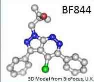 BF844