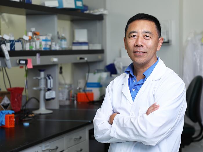 Hai-Hui "Howard" Xue, Ph.D., of the CDI