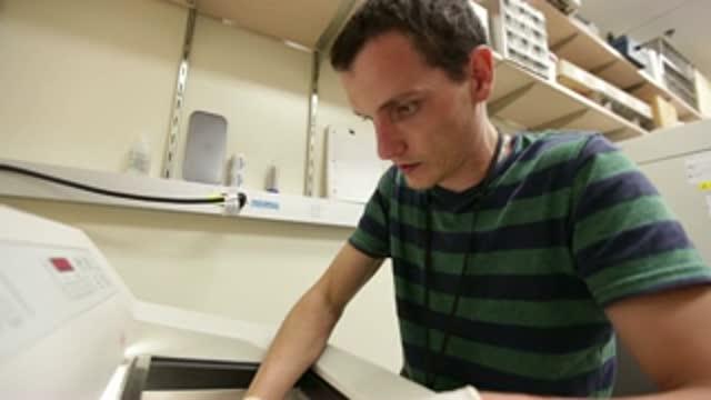Researchers Discover Key Step in Taste Regeneration