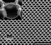 SLIPS Honeycomb