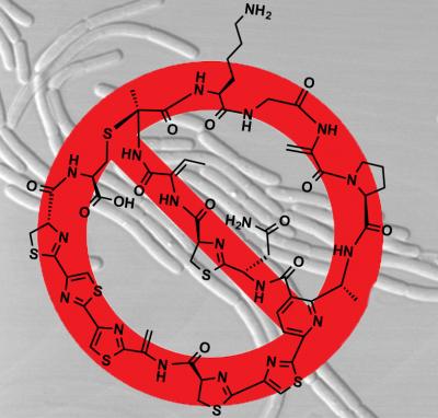 Cyclothiazomycin C