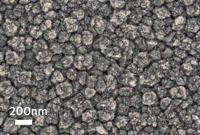 A Metal Nanosponge under the Microscope