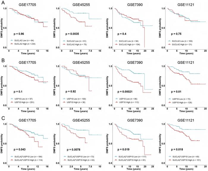 Figure 2. Kaplan-Meier survival analysis of DMFS in breast cancer patients.