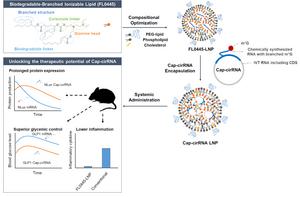 Schematic of new lipid nanoparticle for delivering mRNA and cirRNA
