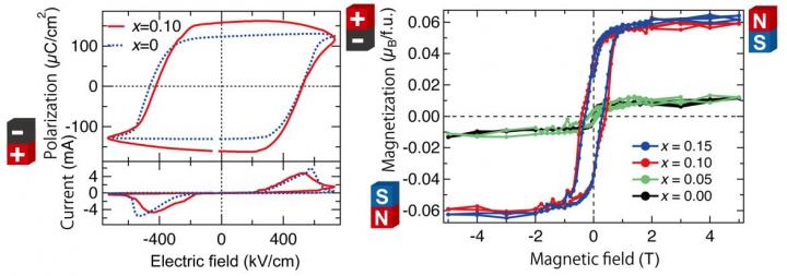 Ferroelectric Hysteresis Loop and Magnetic Hysteresis Loop