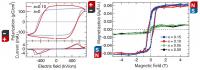 Ferroelectric Hysteresis Loop and Magnetic Hysteresis Loop