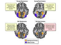 Culture Sculpts Neural Response to Visual Stimuli