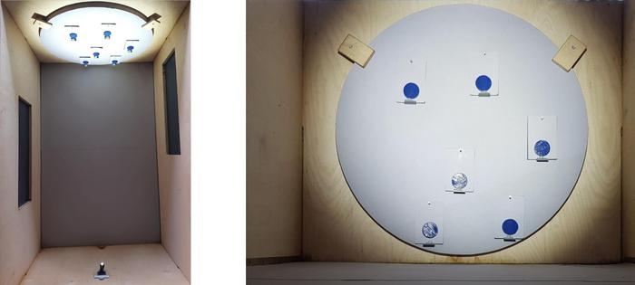 Testing the effect of shiny colors on visibility for bumblebees