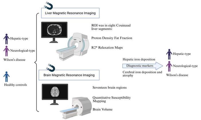 Graphical Abstract: