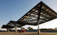 Solar Trees