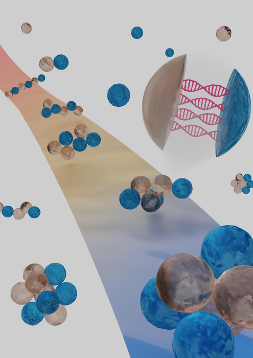 DNA strands programmed to fold into specific geometries
