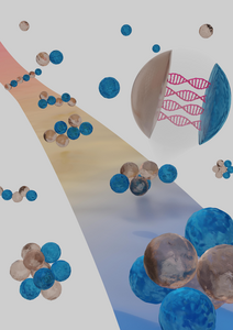 DNA strands programmed to fold into specific geometries