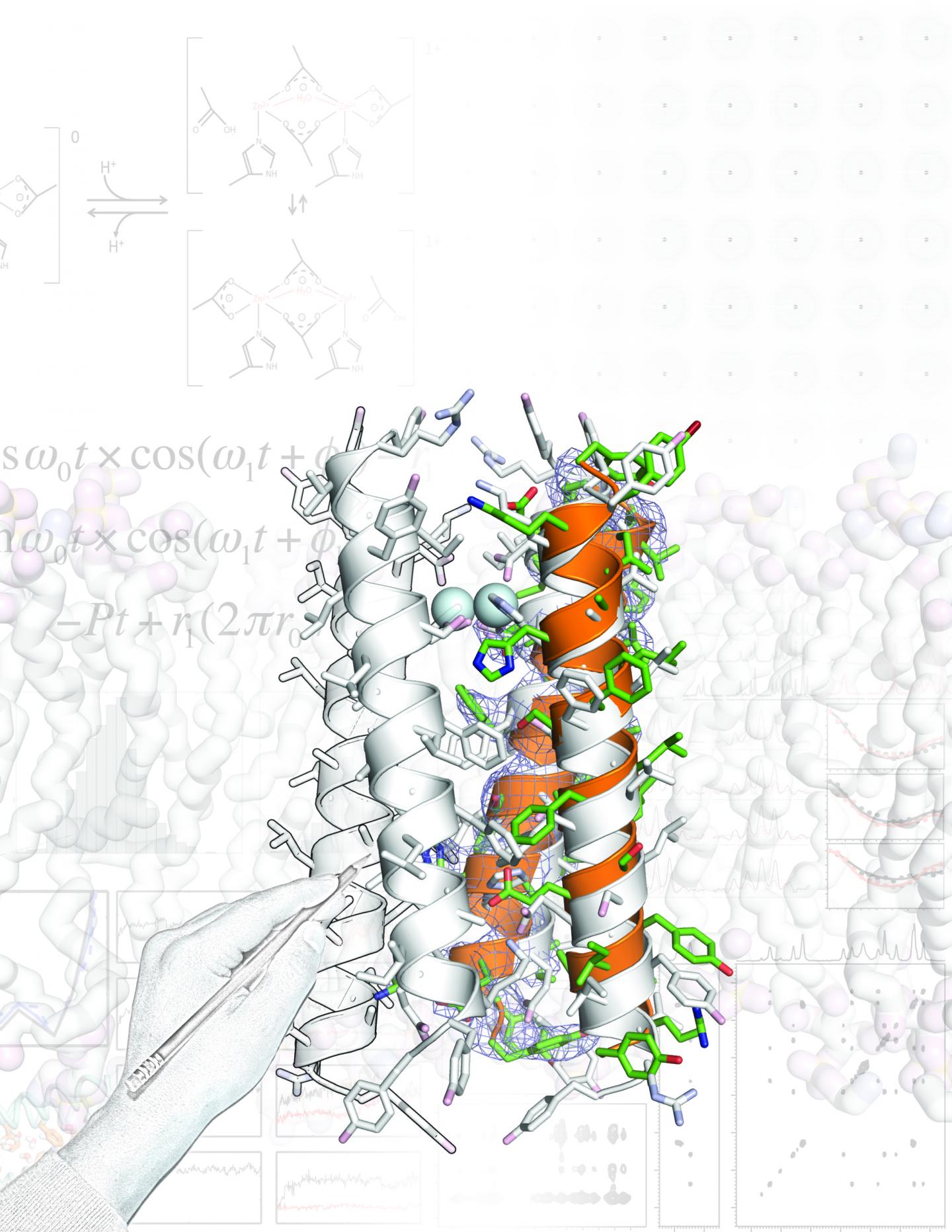 Design, Structure, and Function of a Membrane Transporter
