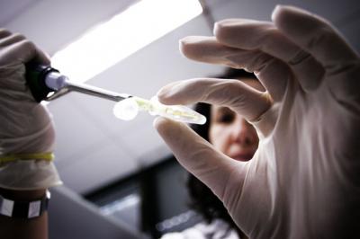Research Services