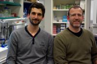 Miquel Duran and Patrick Aloy, IRB Barcelona