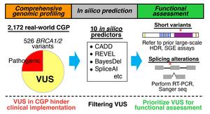 Overview of a framework for prioritizing variants of uncertain significance (VUS) identified by comprehensive genomic profiling (CGP)