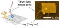 Fig.2 Integrated Nanochip