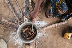 Bushmeat cooking in Yaselia Village, Tshopo Province