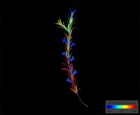 Molecular Mapping, UC San Diego and European Molecular Biology Laboratory (2 of 2)