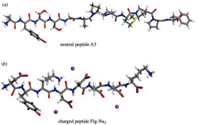 Peptides in Biomineralization