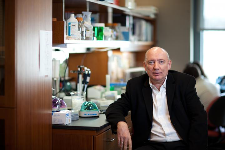 Jan Vijg, Albert Einstein College of Medicine