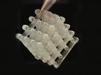 Lattice Structure