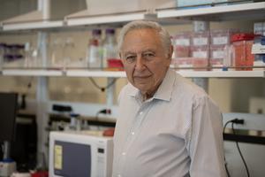Robert Gallo credit USF Health