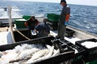Commercial Lake Fishing