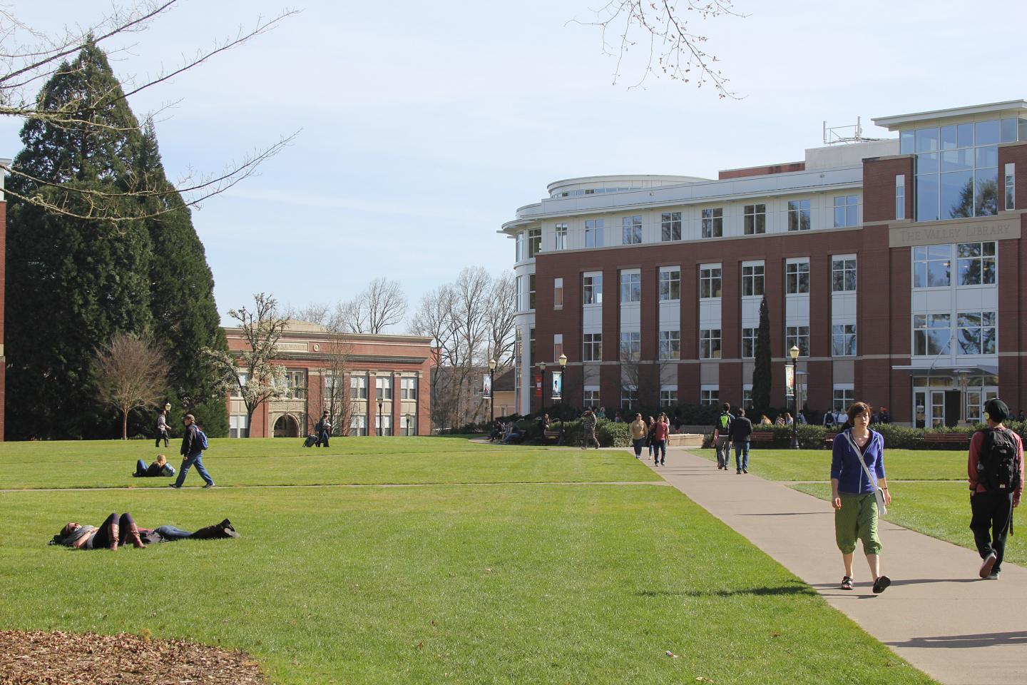 Students in the Sun