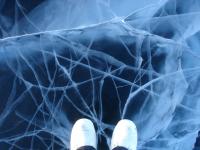 Cracked Ice