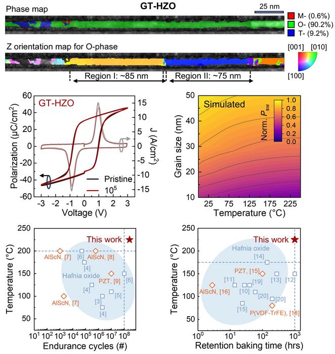 Grain tailoring enables robust high-temperature ferroelectricity in ultrathin HZO films
